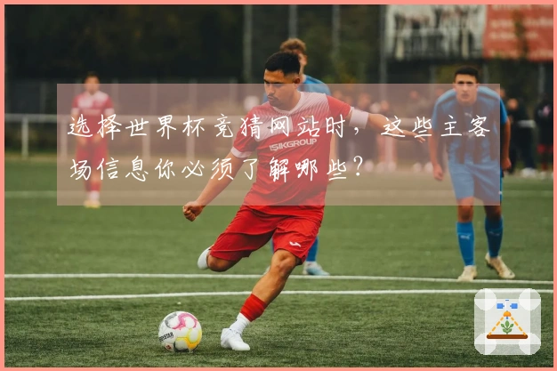 选择世界杯竞猜网站时,这些主客场信息你必须了解哪些?